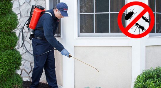Yakakent Tahtakurusu İlaçlama böcek ilaçlama ve haşere kontrolü — ilaclama-tr.com